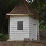 DSC_0068_00065 (May 25, 2024)