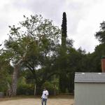 DSC_0069_00066 (May 25, 2024)