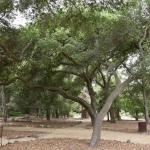 DSC_0073_00069 (May 25, 2024)