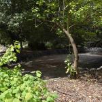 DSC_0076_00072 (May 25, 2024)