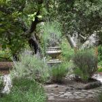 DSC_0077_00073 (May 25, 2024)