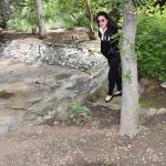 DSC_0078_00074 (May 25, 2024)