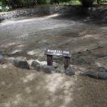 DSC_0079_00075 (May 25, 2024)