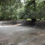 DSC_0080_00076 (May 25, 2024)