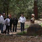 DSC_0081_00077 (May 25, 2024)