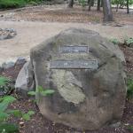 DSC_0084_00079 (May 25, 2024)