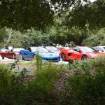 DSC_0091_00085 (May 25, 2024)