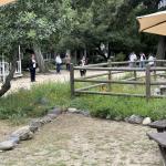 Modjeska_park_011 (May 28, 2024)