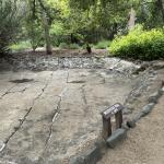 Modjeska_park_026 (May 28, 2024)