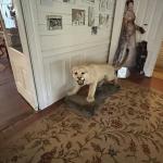 Modjeska_park_044 (May 28, 2024)