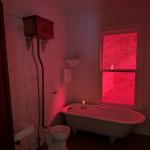 Modjeska_park_077 (May 28, 2024)