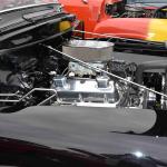 DSC_0028_00027 (June 02, 2024)