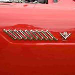 DSC_0029_00028 (June 02, 2024)