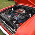 DSC_0032_00031 (June 02, 2024)