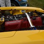 DSC_0039_00038 (June 02, 2024)