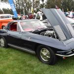 DSC_0047_00046 (June 02, 2024)