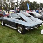 DSC_0050_00049 (June 02, 2024)