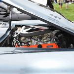 DSC_0051_00050 (June 02, 2024)