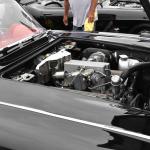 DSC_0053_00052 (June 02, 2024)