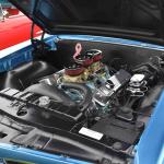 DSC_0056_00055 (June 02, 2024)