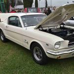 DSC_0074_00073 (June 02, 2024)