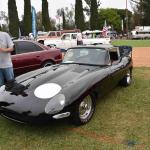 DSC_0082_00079 (June 02, 2024)