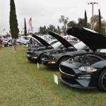 DSC_0098_00095 (June 02, 2024)