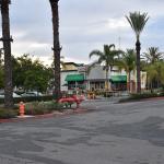 DSC_0025 (January 01, 2024)