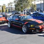 DSC_0035 (January 01, 2024)