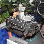 DSC_0045_00044 (September 07, 2024)