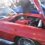 DSC_0051_1653 (October 11, 2025)