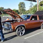 DSC_0056_1658 (October 11, 2025)