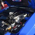 DSC_0063_1664 (October 11, 2025)