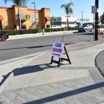 DSC_0080_1681 (October 11, 2025)