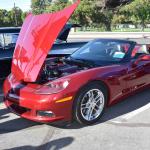 DSC_0103_1700 (October 11, 2025)