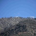 DSC_0026_1334 (September 01, 2025)