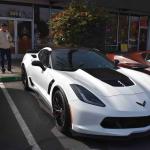 DSC_0072_00028 (January 01, 2025)