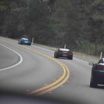 DSC_0020_1760 (November 05, 2025)