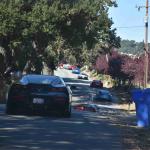 DSC_0065_1796 (November 05, 2025)