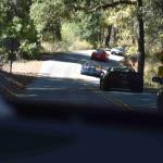 DSC_0071_1802 (November 05, 2025)