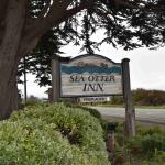 DSC_0104_1833 (November 05, 2025)