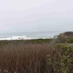 DSC_0108_1836 (November 05, 2025)