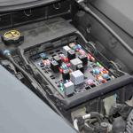 DSC_0136_1855 (November 05, 2025)