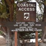 DSC_0140_1858 (November 05, 2025)