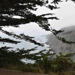 DSC_0141_1859 (November 05, 2025)