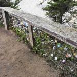 DSC_0143_1861 (November 05, 2025)