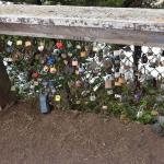 DSC_0147_1865 (November 05, 2025)