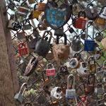 DSC_0148_1866 (November 05, 2025)