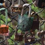 DSC_0149_1867 (November 05, 2025)