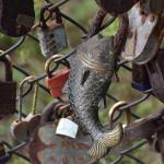 DSC_0150_1868 (November 05, 2025)